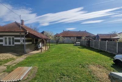 Casă cu 1 camere cu Teren 593 Mp în Simeria - 11