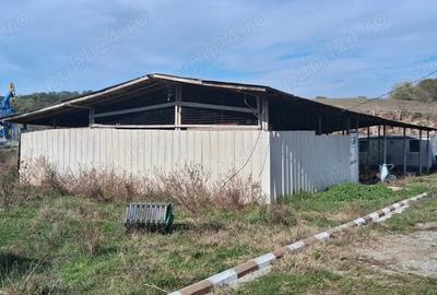 Spațiu comercial, de 4,000 mp, în Central - 10
