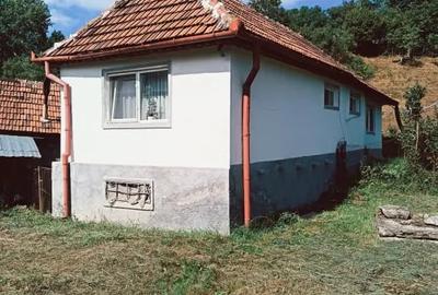 Casă cu 2 camere în Jiu-Paroșeni