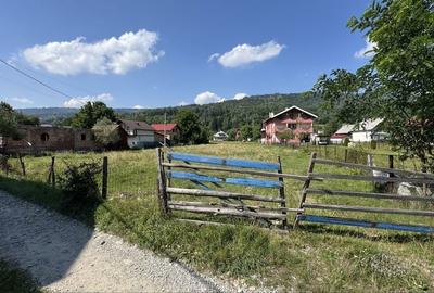 Teren de 2463 mp, în Băile Borșa - 16