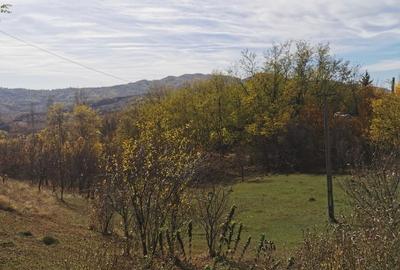 Teren Construcții intravilan de 2500 mp, în Predeal-Sărari - 3