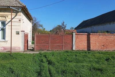 Casă cu Teren 1079 Mp în Dudeștii Vechi