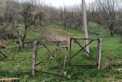 Teren de 3573 mp, în Deve - 9