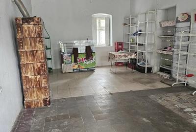 Casă cu 2 camere cu Teren 2400 Mp în Beba Veche