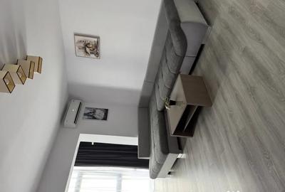 Apartament cu 2 camere semidecomandat în Prundu - 2
