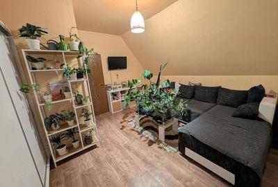 Apartament cu 2 camere decomandat în Lipovei