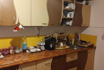 Apartament cu 2 camere semidecomandat, mobilat în Broșteni - 6