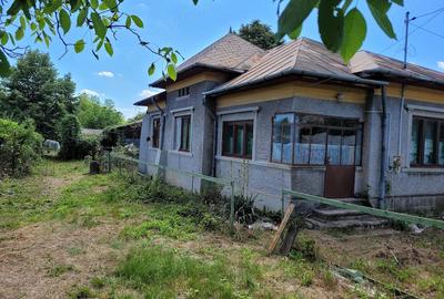 Casă cu 3 camere cu Teren 1400 Mp în Răzvad - 4