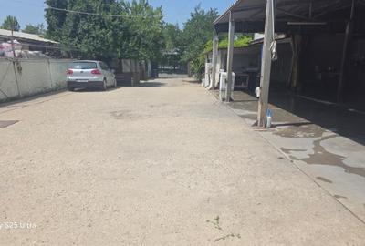 Proprietate specială, de 759 mp, în Doamna Ghica - 3