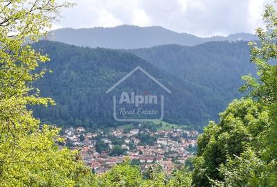Apartament cu 3 camere decomandat, mobilat în Drumul Poienii - 3