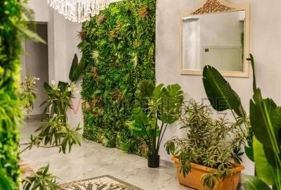 Apartament cu 2 camere decomandat, mobilat în Mamaia - 19