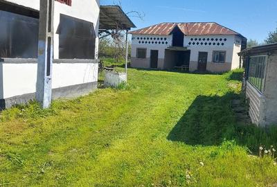 Casă cu 6 camere cu Teren 5400 Mp în Central