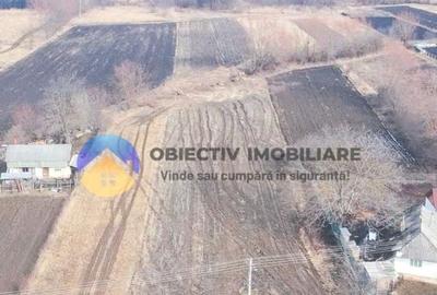 Teren intravilan de 10515 mp, în Bodești