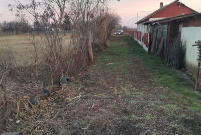 Casă cu 4 camere cu Teren 2200 Mp în Nămoloasa - 4