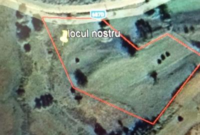 Teren în Lunca Cernii de Jos - 1
