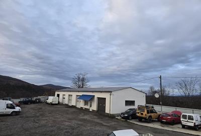 Spațiu industrial, de 300 mp, în Cărpinet - 3