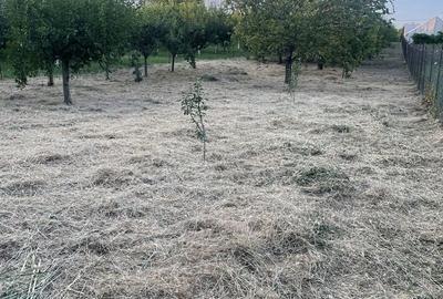 Casă cu 4 camere în Vărăști