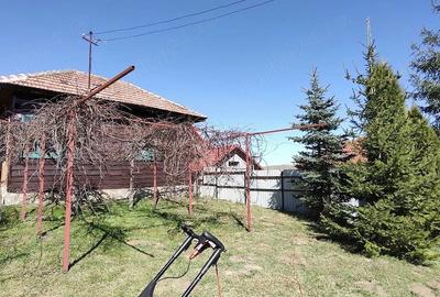 Casă cu 2 camere cu Teren 1500 Mp în Exterior Vest - 2