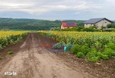 Teren de 550 mp, în Valea Lupului - 1