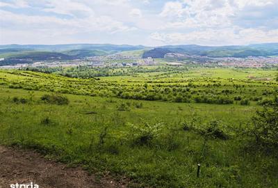 Teren de 2900 mp, în Florești