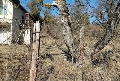 Casă cu Teren 3000 Mp în Feleac - 3