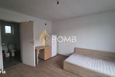 Casă cu 2 camere în Nădășelu