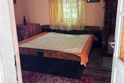 Casă cu 3 camere cu Teren 1970 Mp în Drăgotești