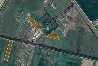 Teren agricol extravilan de 30000 mp, în Giroc - 1
