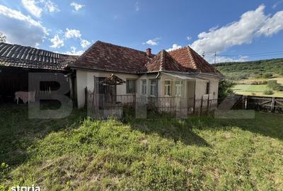 Casă cu 3 camere cu Teren 4100 Mp în Horoatu Crasnei - 3
