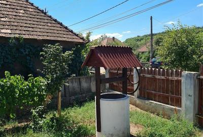 Casă cu 2 camere în Românași