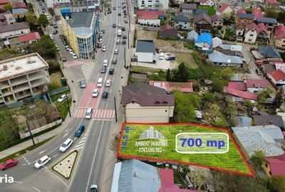 Spațiu comercial, în Traian - 4