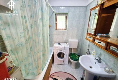 Casă cu 3 camere cu Teren 2800 Mp în Traian Vuia - 3