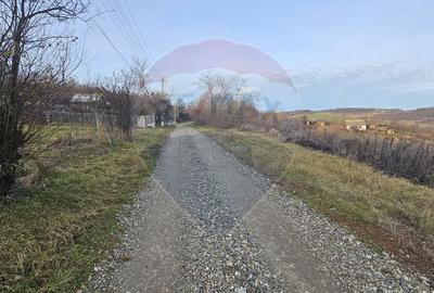 Teren de 2500 mp, în Odobești - 6