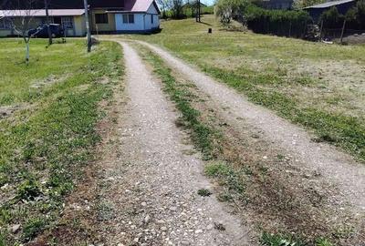 Teren de 6000 mp, în Hereclean - 6