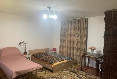 Casă cu 3 camere cu Teren 722 Mp în Surducu Mare - 3
