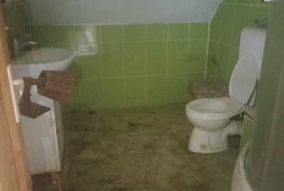 Casă cu 4 camere în Angheluș