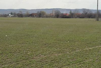 Teren de 10000 mp, în Vernești - 1