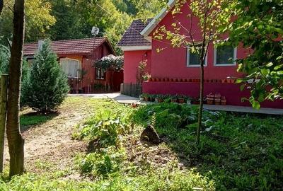 Casă cu 4 camere cu Teren 705 Mp în Copăcel - 12