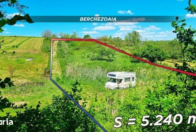 Teren de 5240 mp, în Copalnic - 2