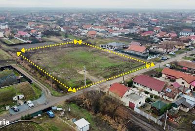 Teren de 6000 mp, în Săcălaz - 6