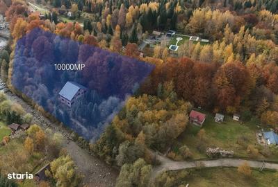 Casă cu 4 camere cu Teren 7000 Mp în Central - 3
