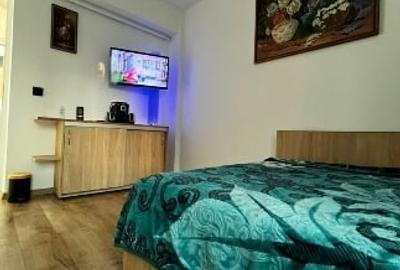 Garsonieră decomandată, mobilată în Lunca Cetățuii - 11