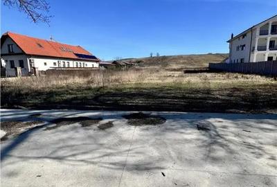 Teren în Băile Felix - 6