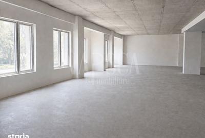 Spațiu comercial, de 550 mp, în Plopilor - 5