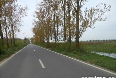 Teren de 5000 mp, în Ciolpani