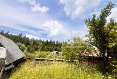 Casă individuală cu 3 camere cu Canalizare în Sasca Mare - 2