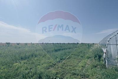 Teren agricol extravilan de 16750 mp, în Cârcea - 8