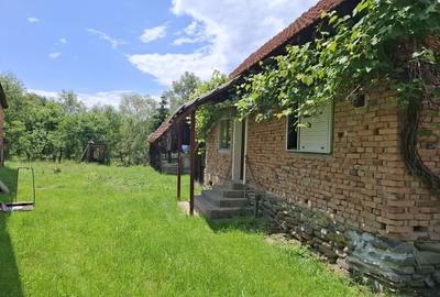Casă cu 2 camere în Arpașu de Sus - 2
