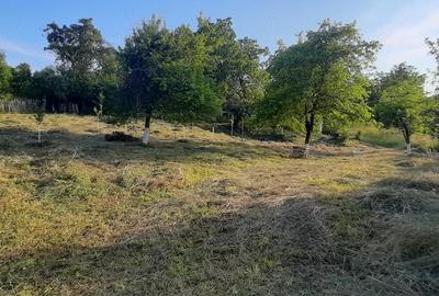 Teren de 830 mp, în Cerișor - 10