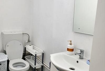 Casă individuală cu 18 camere cu Canalizare în Lipovei - 28